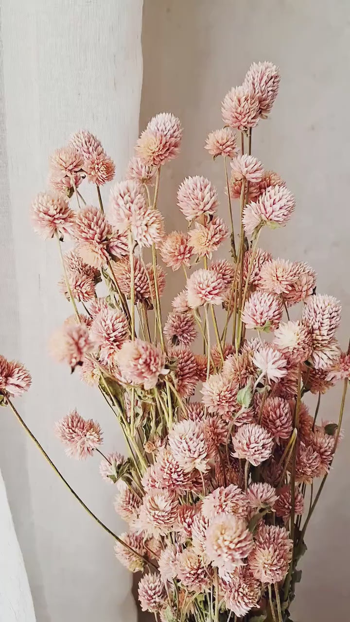 Pink Gomphrena Dried Flower Bouquet, Stabilized Pink Flowers, Minimalist Botanical Decor, Natural Vase Arrangement, Scandi Home Decor