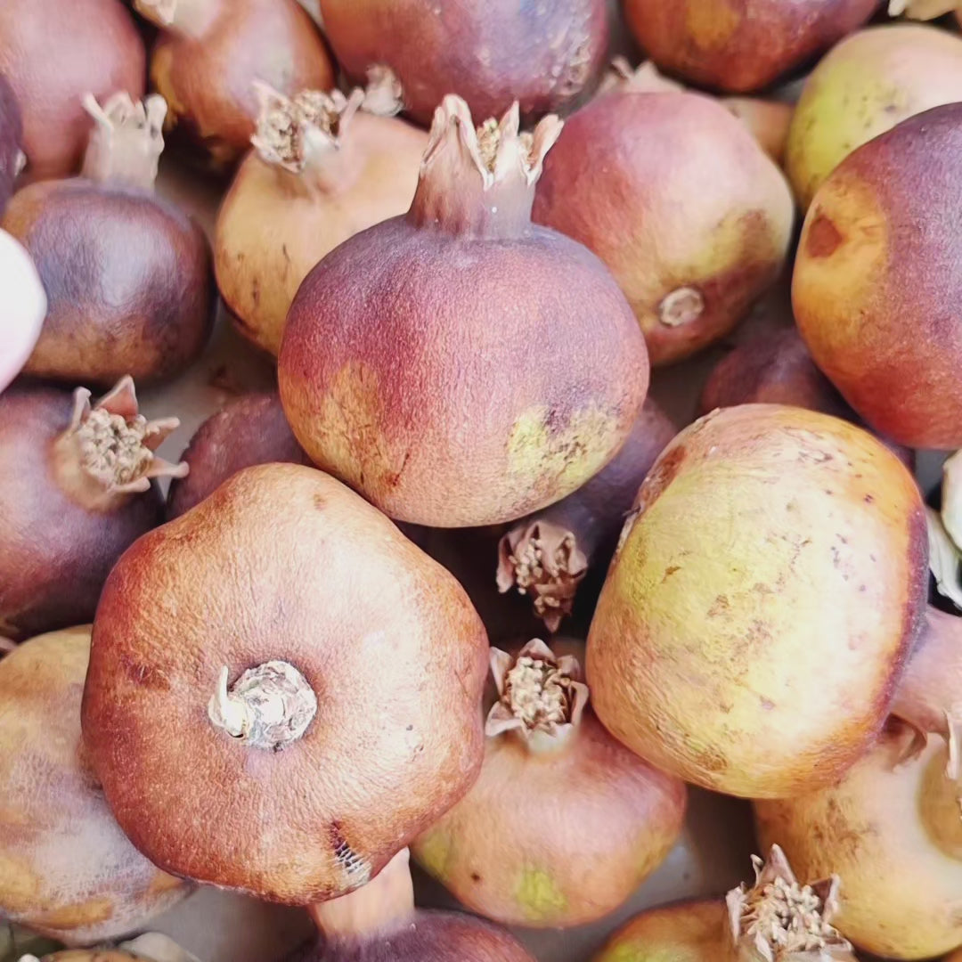 Natural Dried Pomegranate