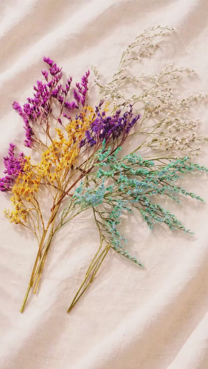German Statice Dried Flowers Mix | 10 Stems 5 Colors | Preserved Limonium | Floral Supply | DIY Craft Flowers