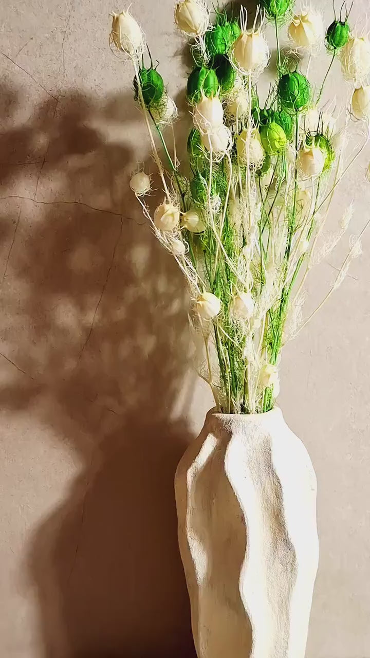 Preserved White Green Nigella Pods | Stabilized Nigella Stems | Botanical Floral Supply | Florist Material | DIY Floral Craft