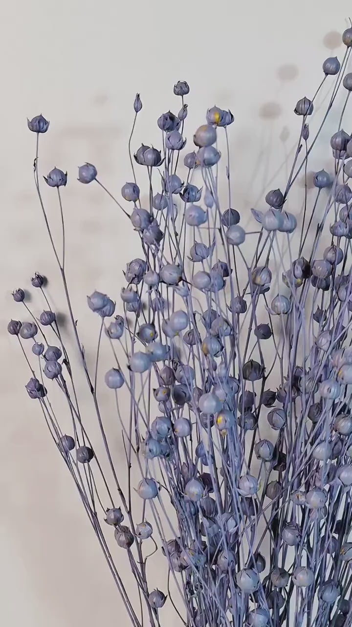 Dusty Blue Dried Flax Stems | Preserved Flax Bundle | Dried Botanical Stems | Florist Supply | Blue Dried Flowers