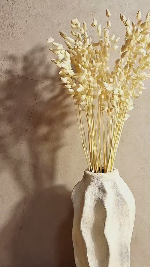 Bleached Briza Stems | Natural Dried Grass | Dried Flower Stems | Florist Supplies | Botanical Stems