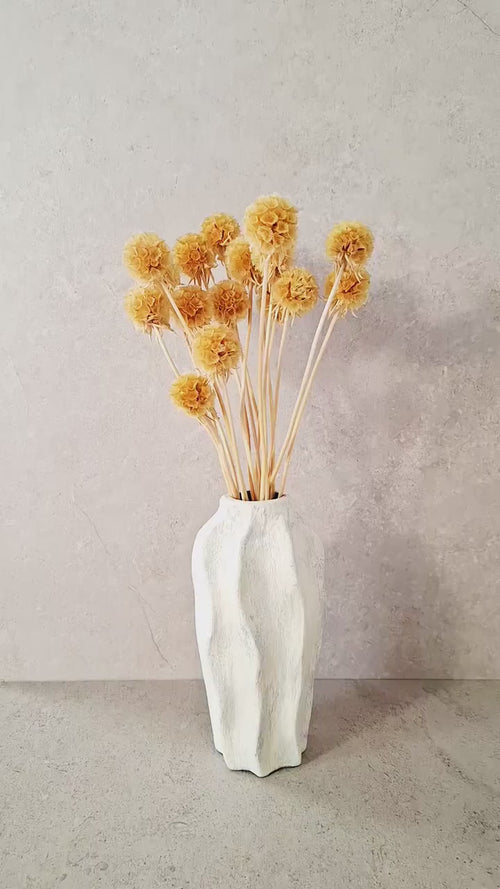 Branched Dried Scabiosa, Natural Beige Scabiosa, 35–40 cm Stems, Neutral Dried Flowers, Boho Decor, Wedding Bouquet Filler