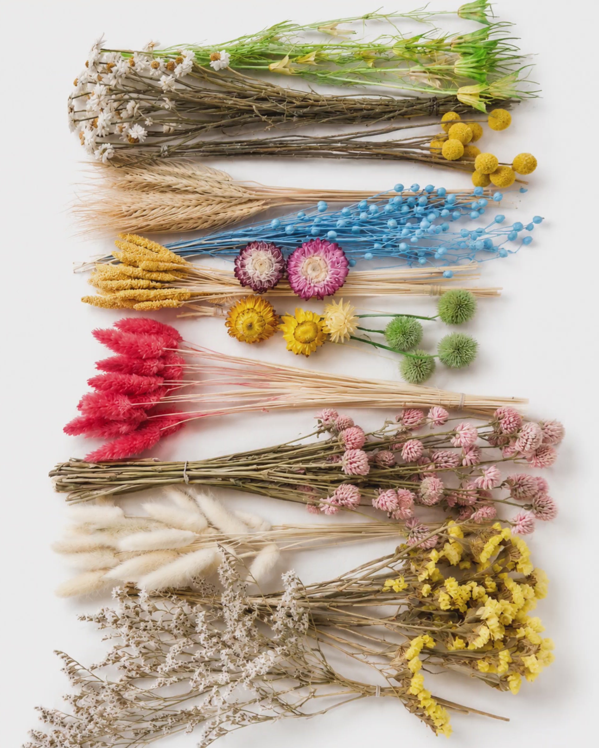 Colorful Dried Flower Box for Crafts