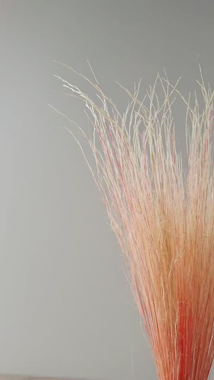 Dried Pony Grass Bundle 60 cm | Peach Coral Natural Dried Grass | Floral Supply | Botanical Stems