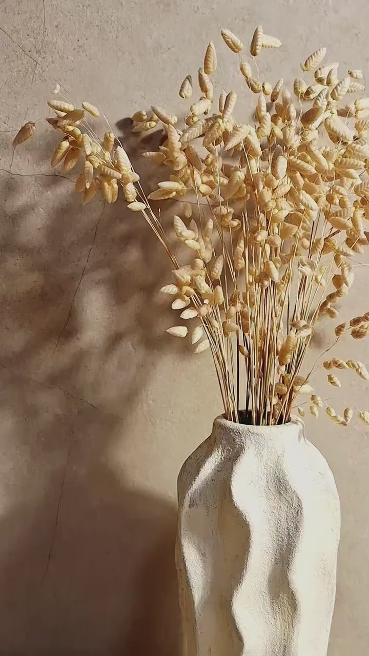 Dried Briza Wheat Color | Natural Dried Grass | Floral Supply | Botanical Stems | Florist Material