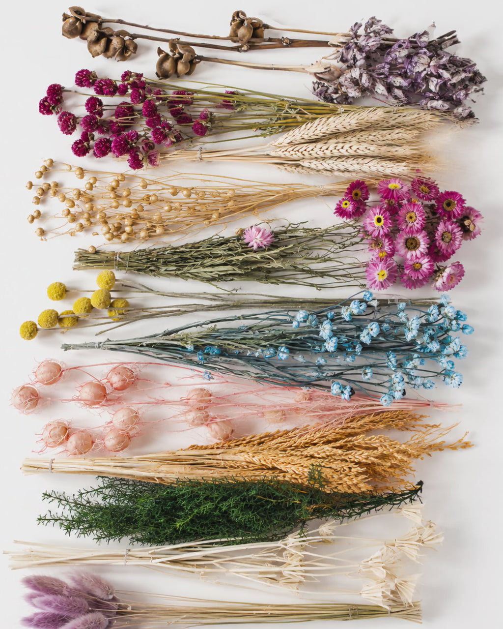 Pastel Dried Flower Box for Crafts