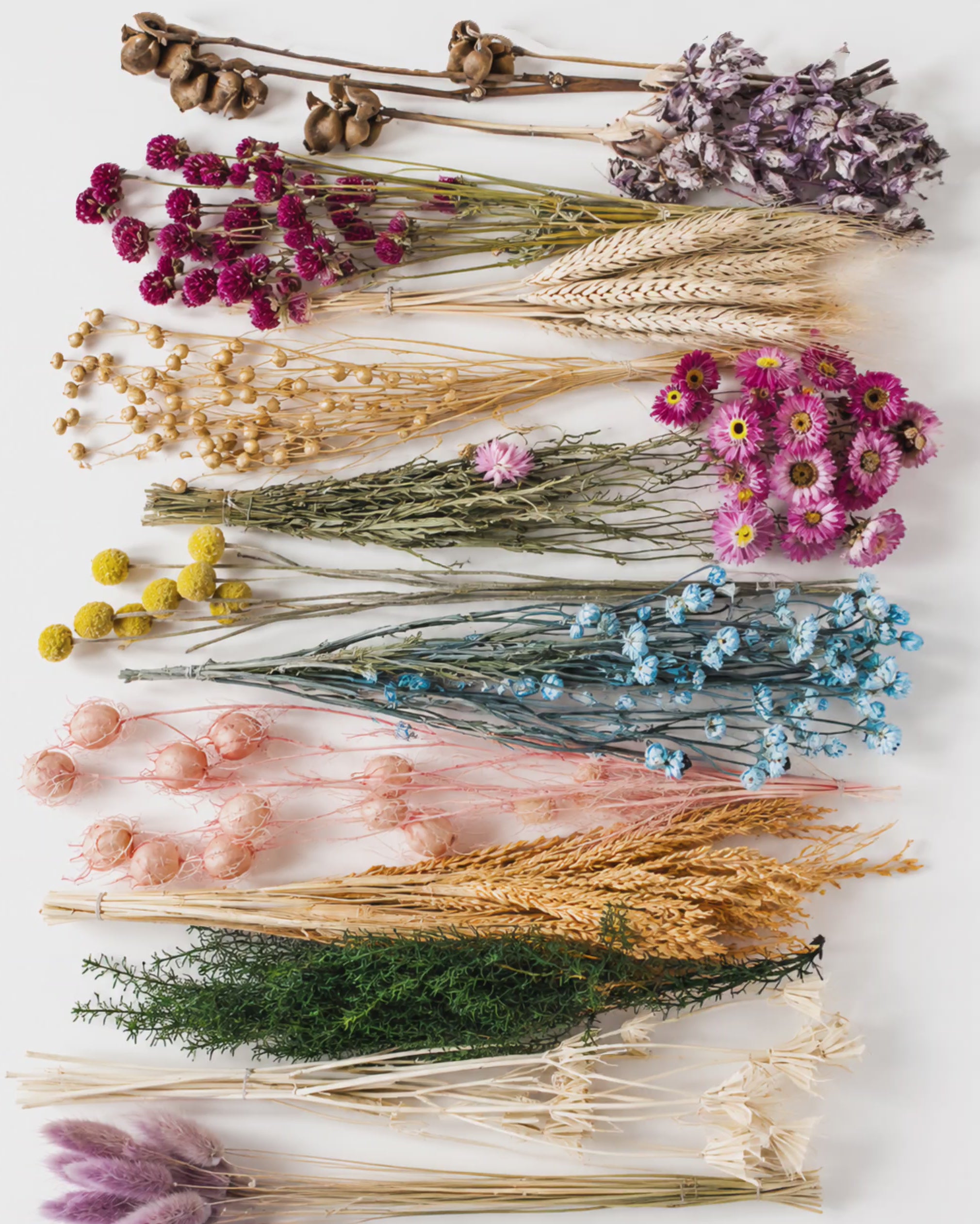 Pastel Dried Flower Box for Crafts