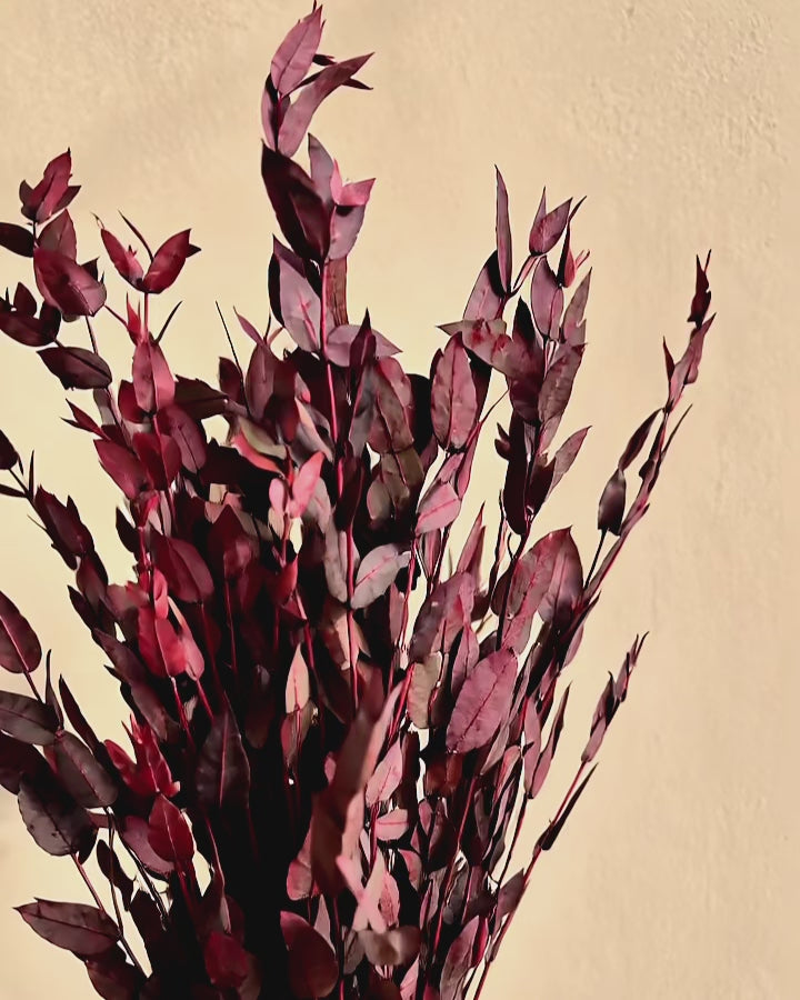 Premium Burgundy Preserved Eucalyptus Bundle