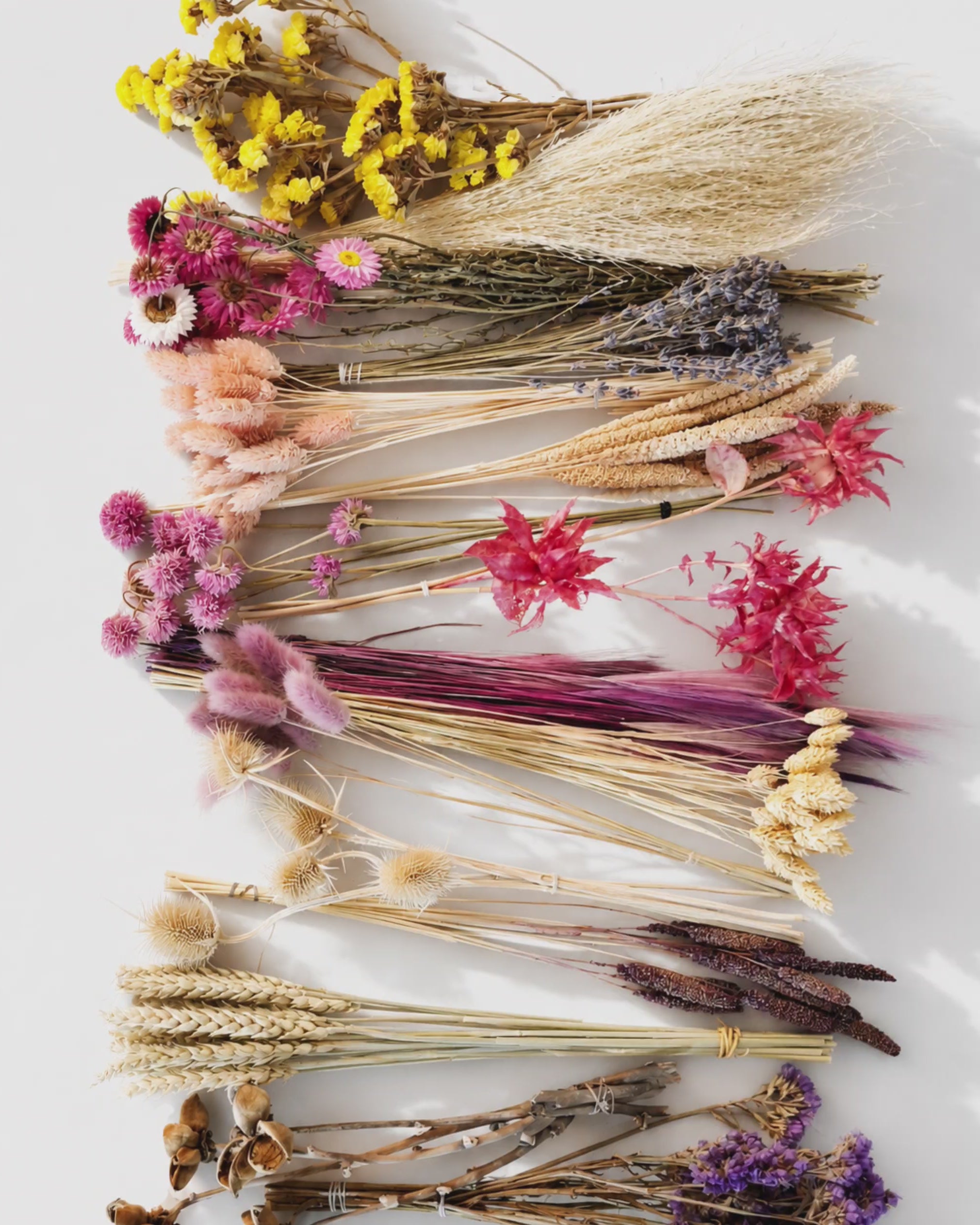 Wildflower Dried Flower Box for Crafts