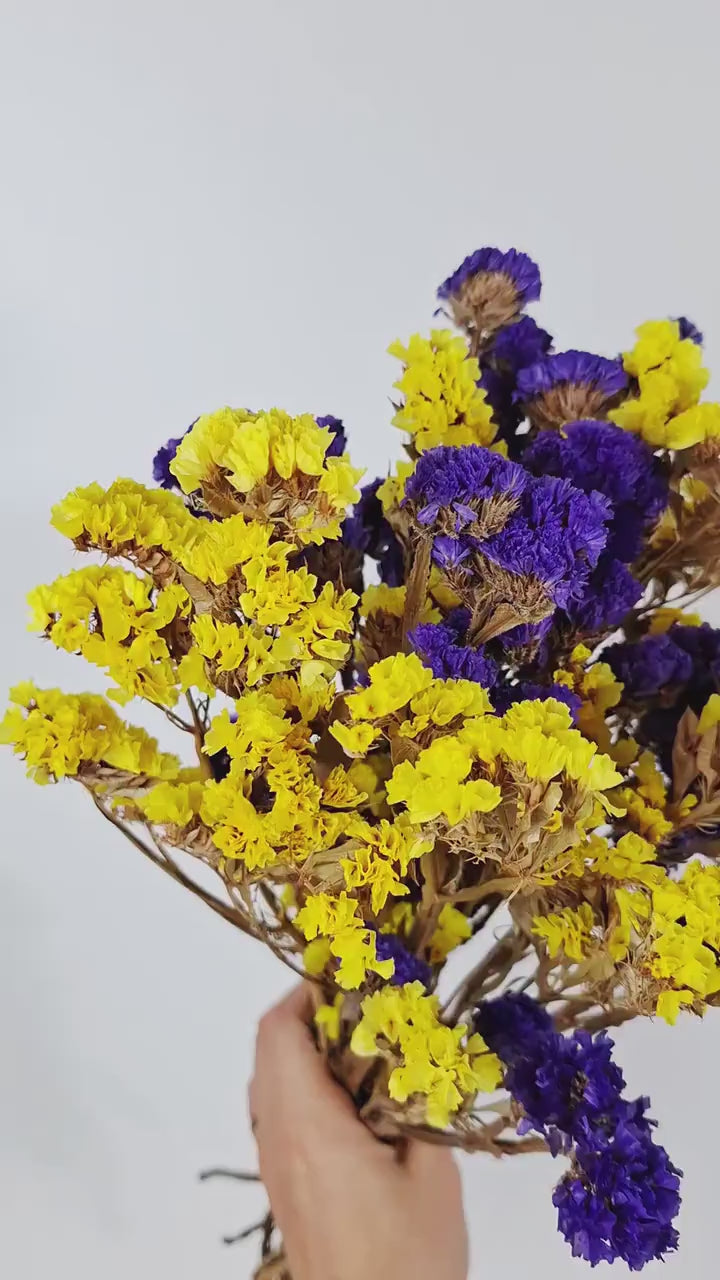 Yellow Purple Statice Flowers | Dried Limonium Stems | Natural Florist Supply | Craft Botanical Material