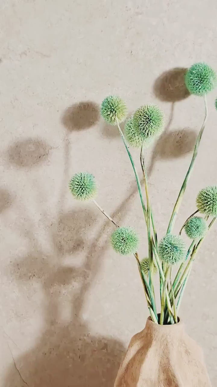Dried Allium Stems Mint Green | Floral Material | Florist Supply | DIY Craft Flowers | Botanical Stems