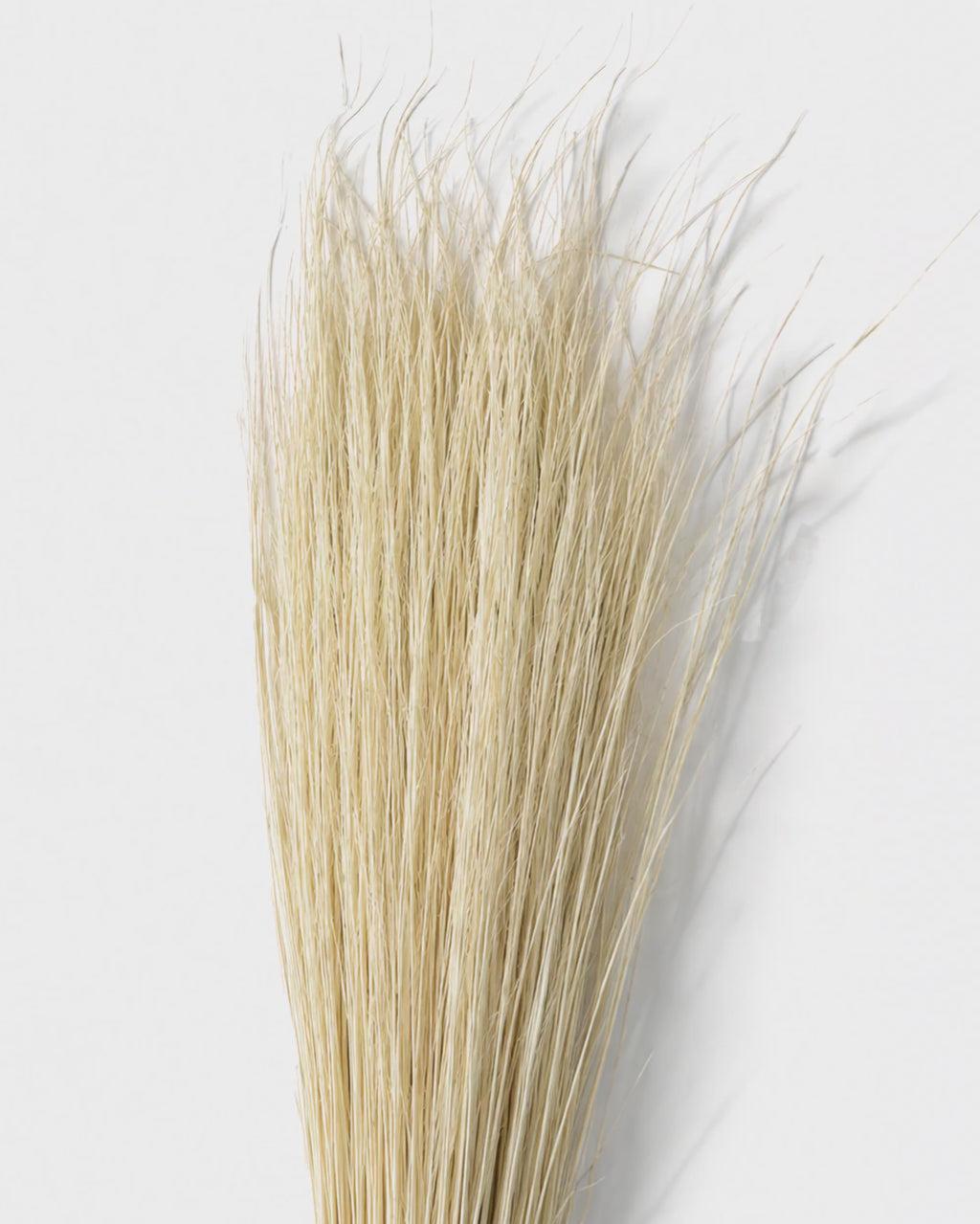 Natural Beige Pony Grass