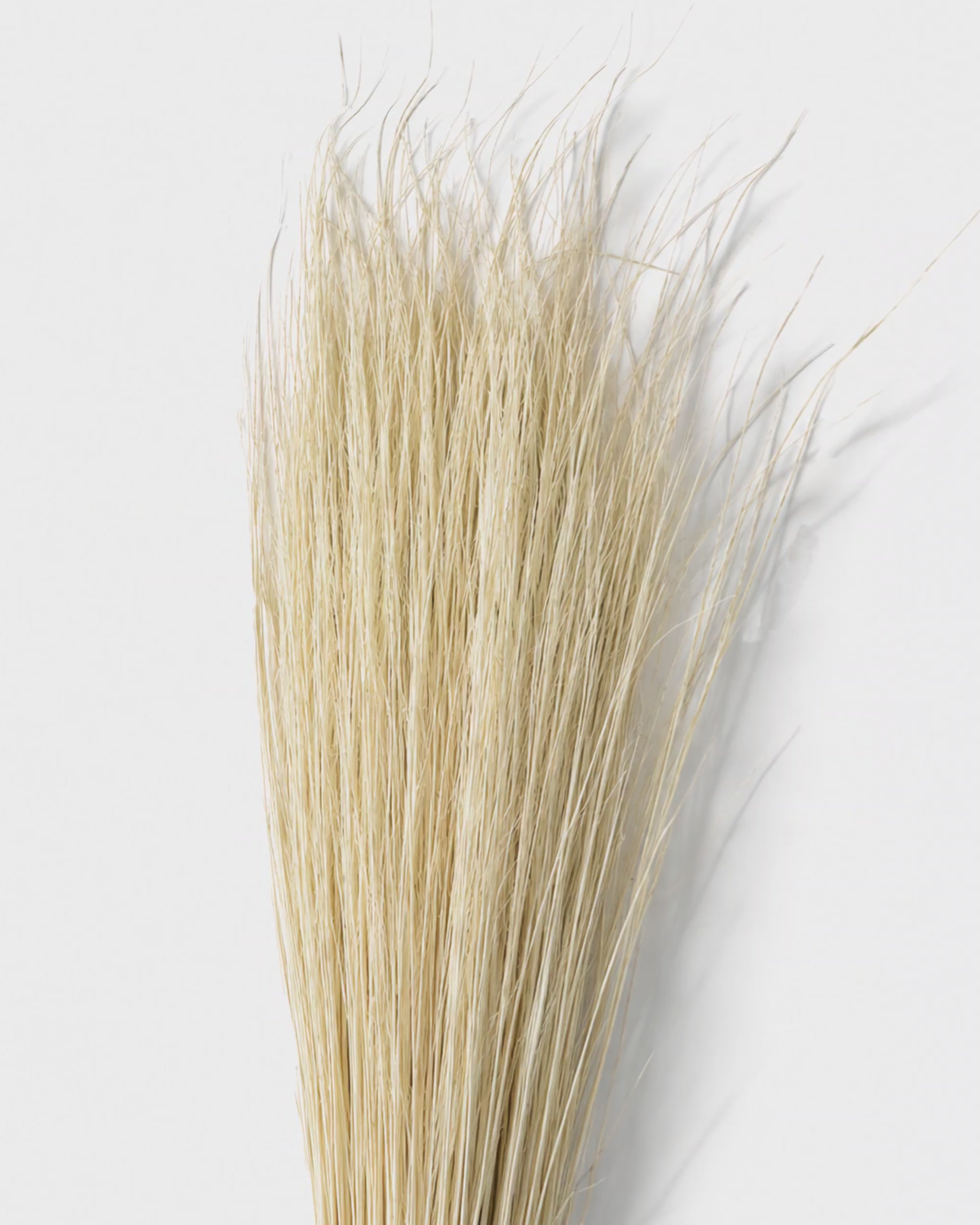 Natural Beige Pony Grass