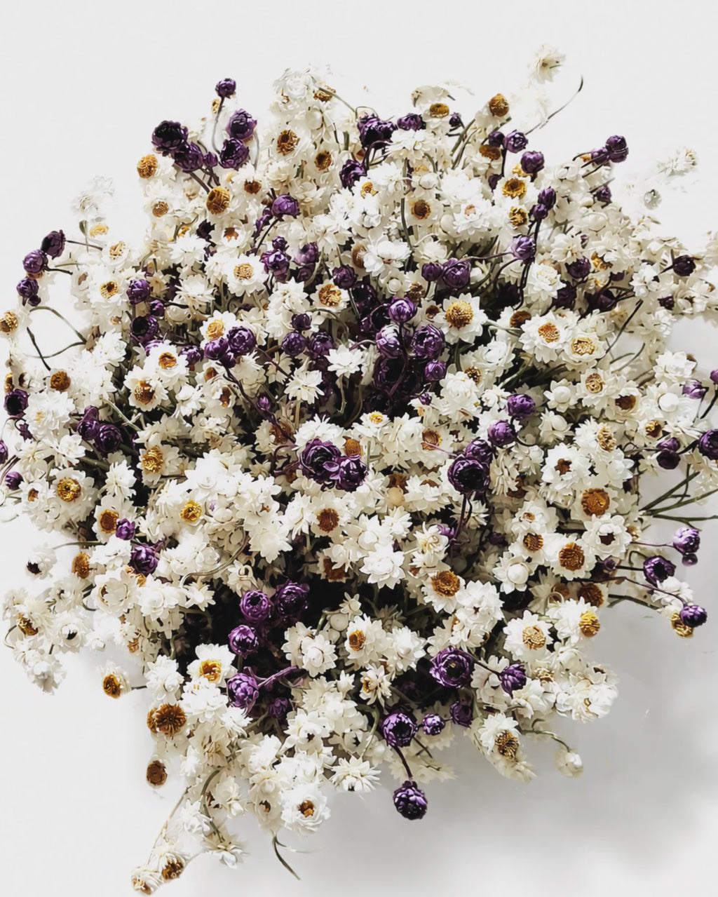 White & Dark Lilac Ammobium Basket