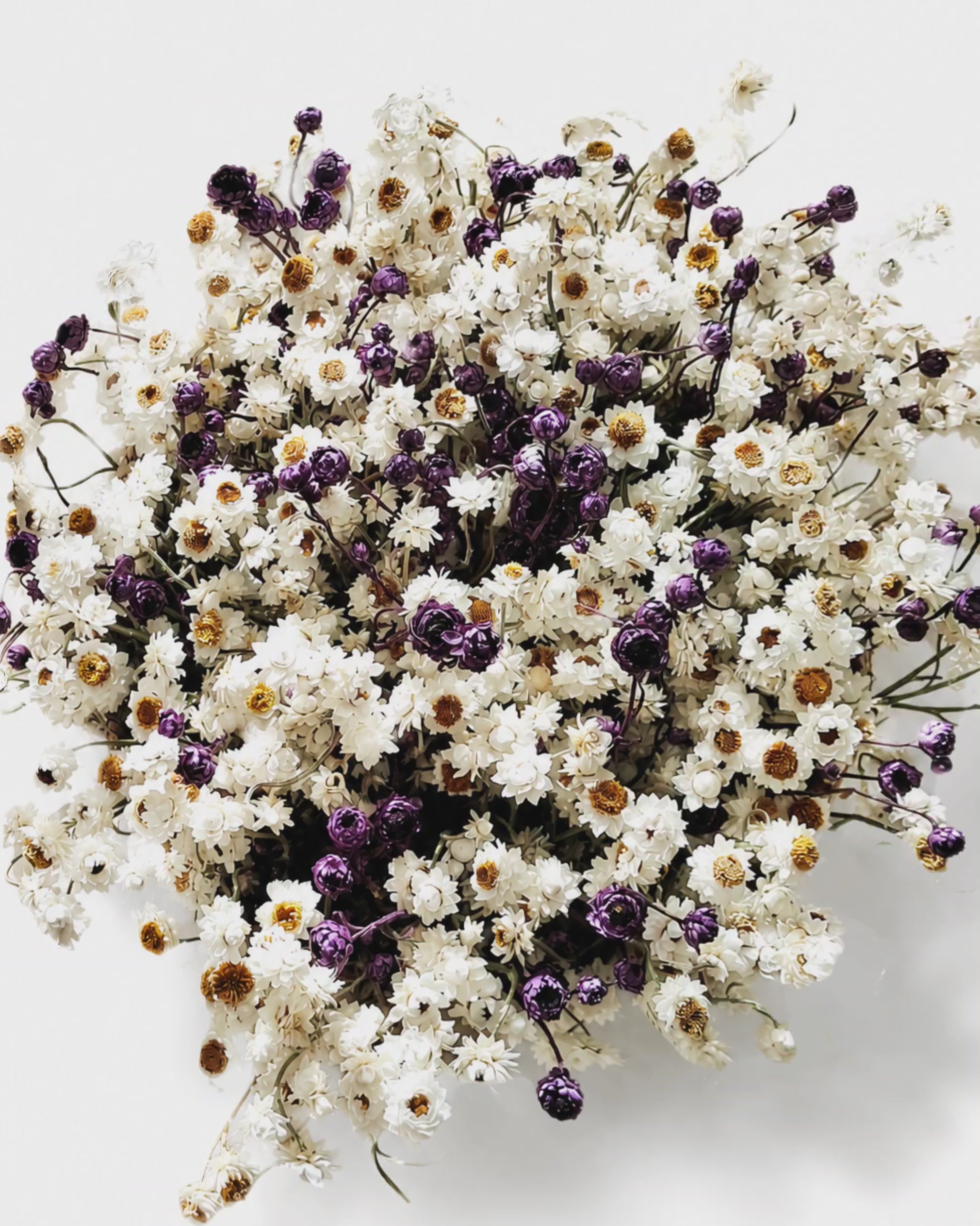 White & Dark Lilac Ammobium Basket