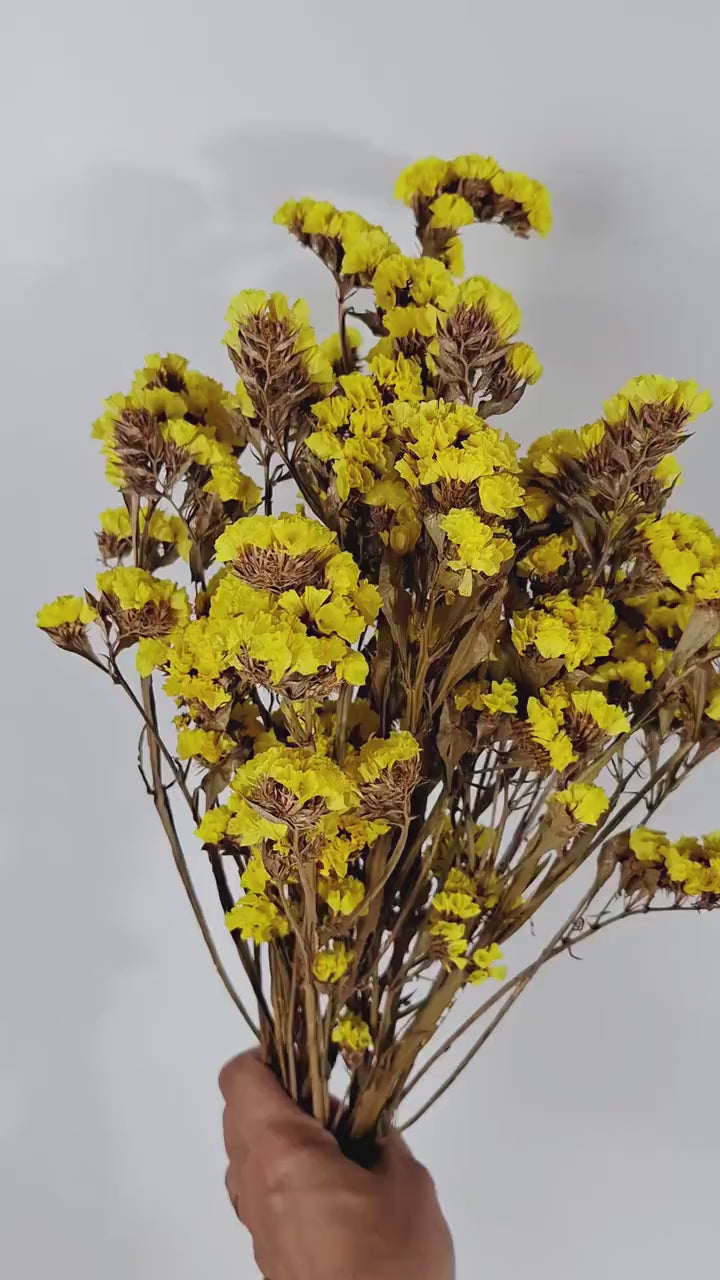 Yellow Statice Flowers | Dried Limonium Stems | Florist Supply | Botanical Material | DIY Floral Craft