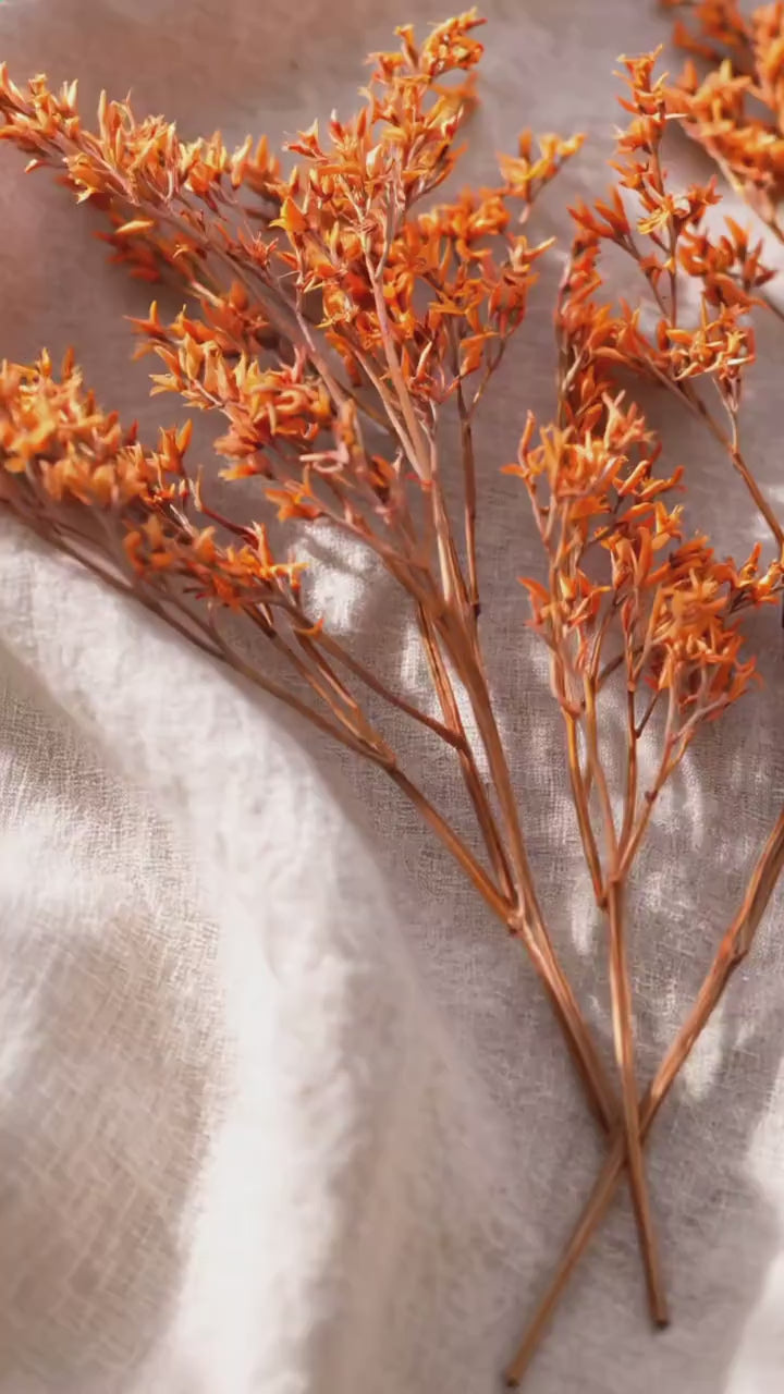 Orange Preserved Branches | Floral Craft Supply | Dried Botanical Stems | Florist Material