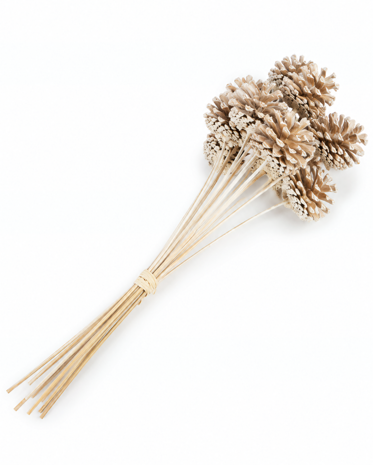 Full bundle of ten champagne gold pine cones on natural wooden stems.
