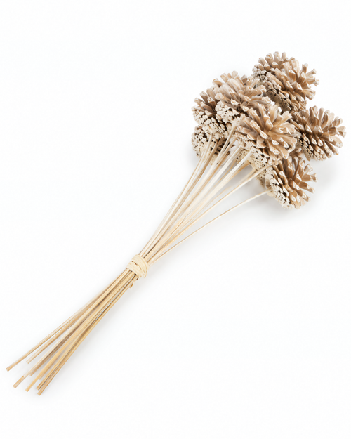 Full bundle of ten champagne gold pine cones on natural wooden stems.
