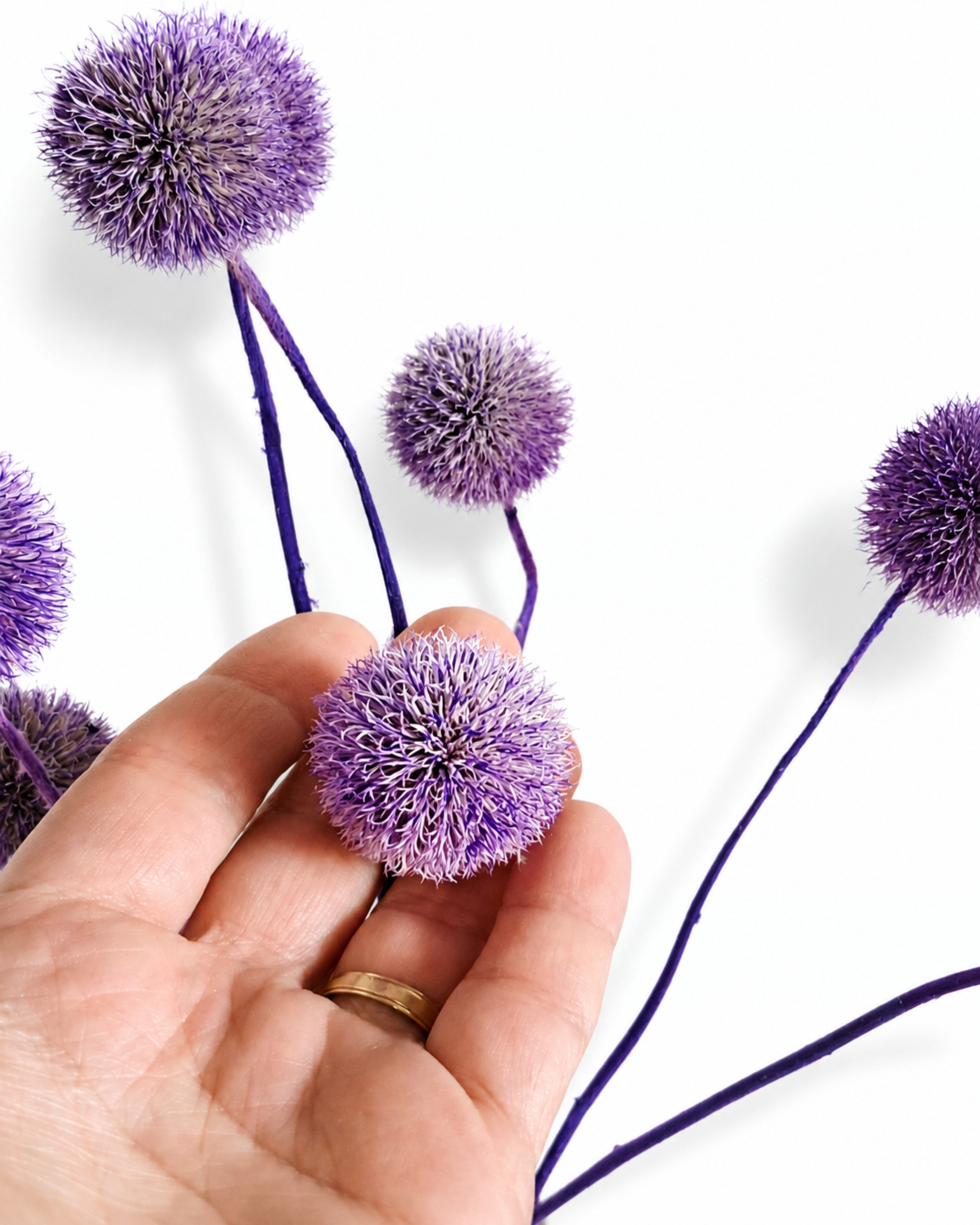 A hand holding a single dried purple Echinops flower head demonstrating its size and spherical texture.
