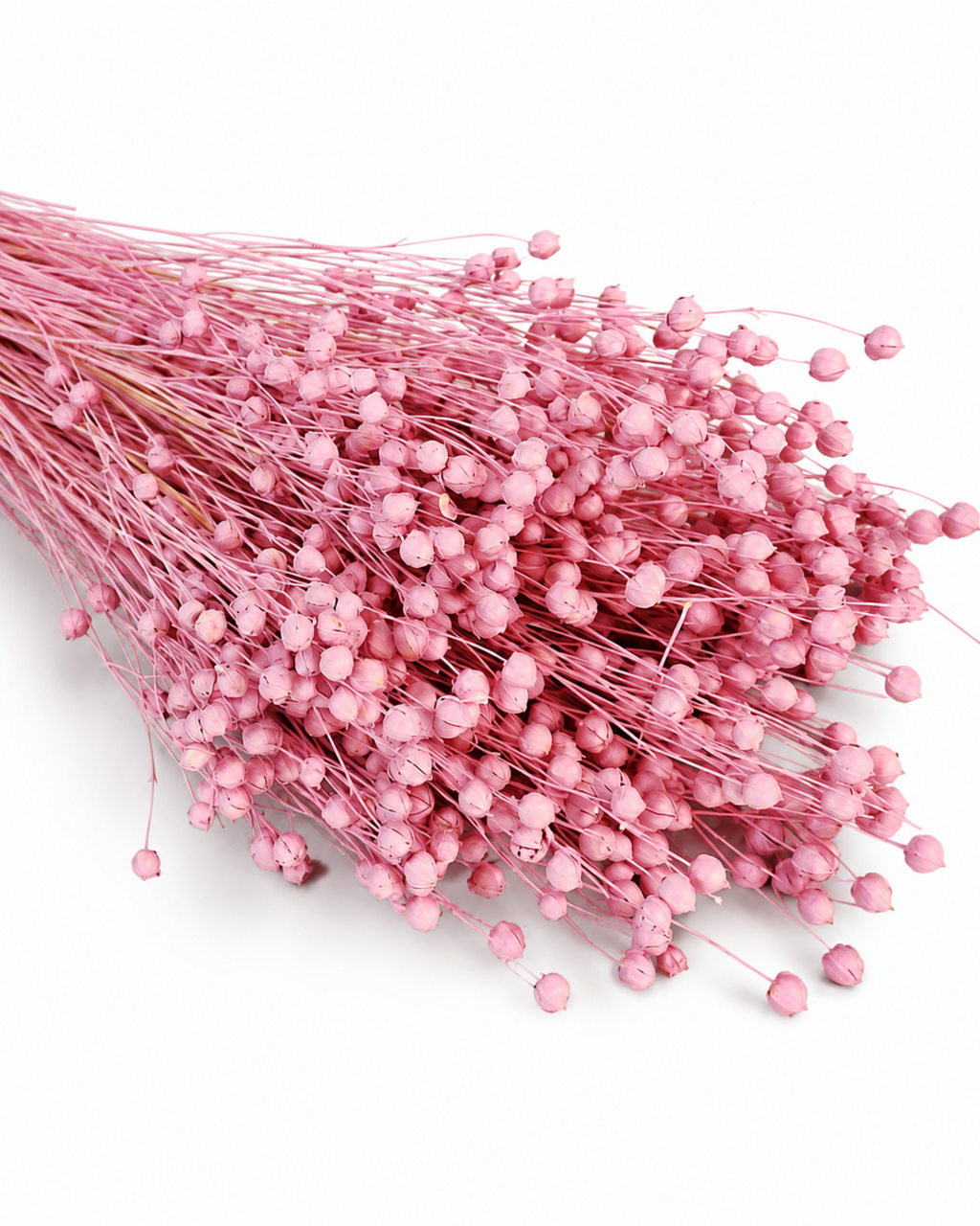 Pink Dyed Flax Stems