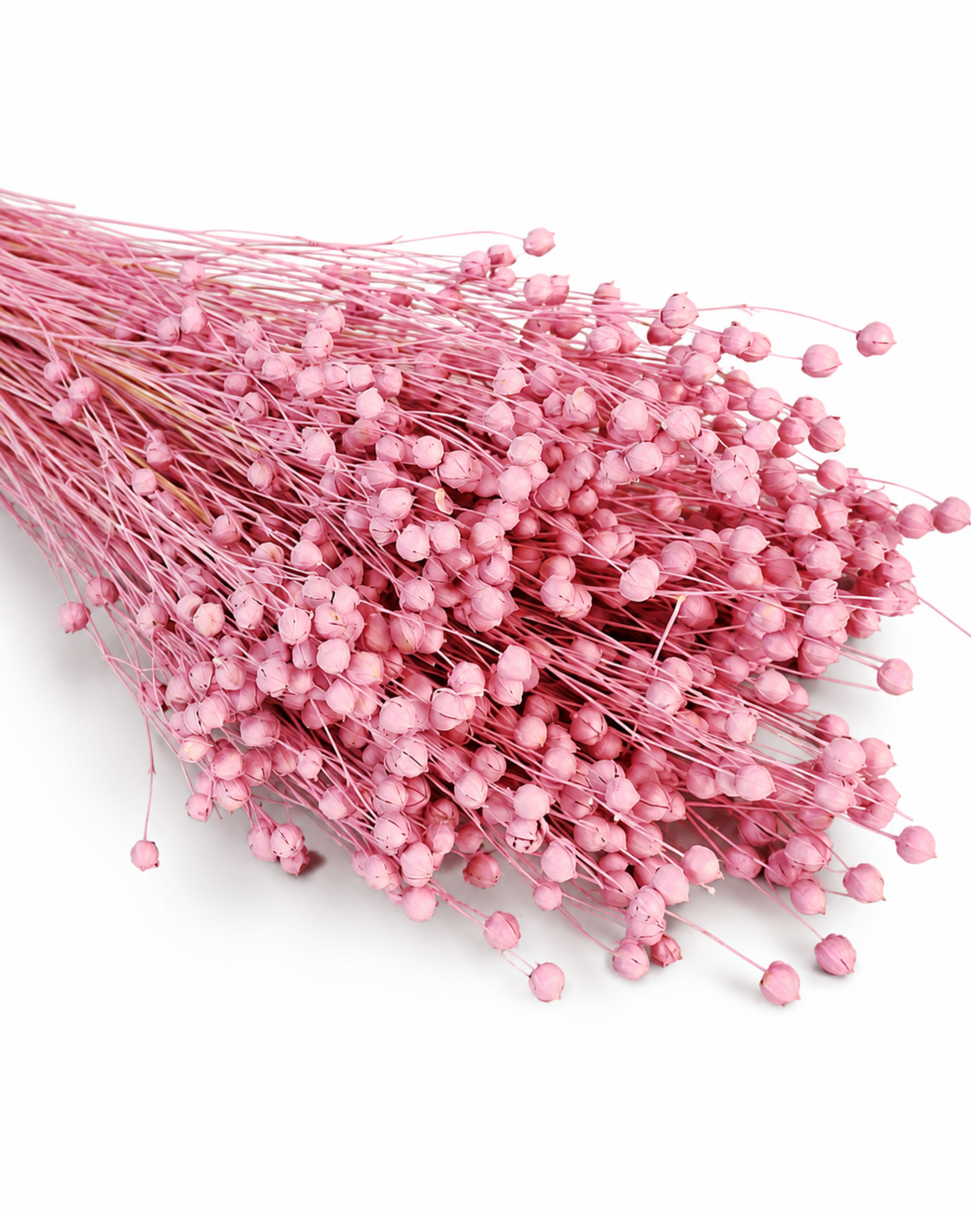 Pink Dyed Flax Stems