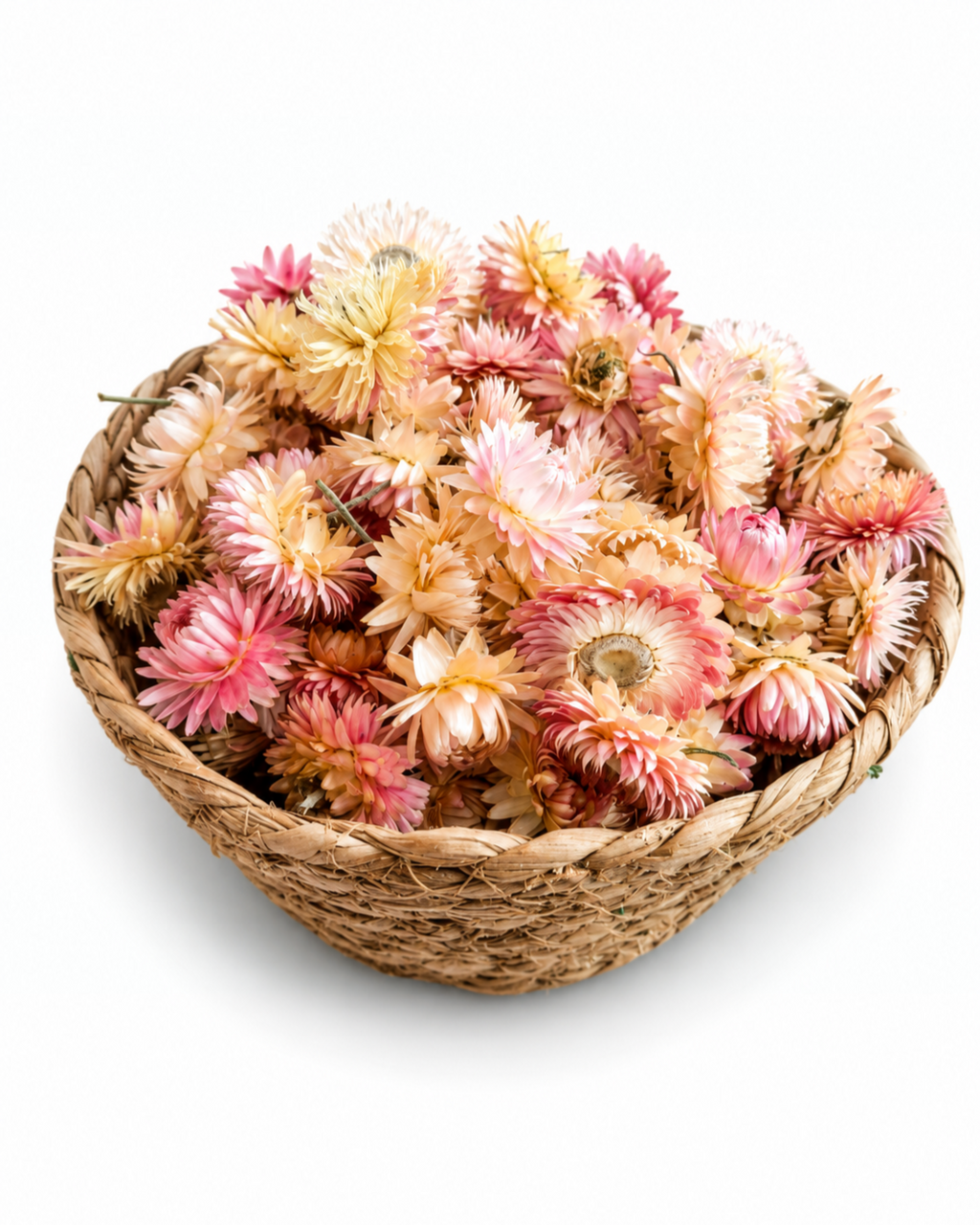 Dried Helichrysum Flower Heads - Pink & Peach Strawflower Set