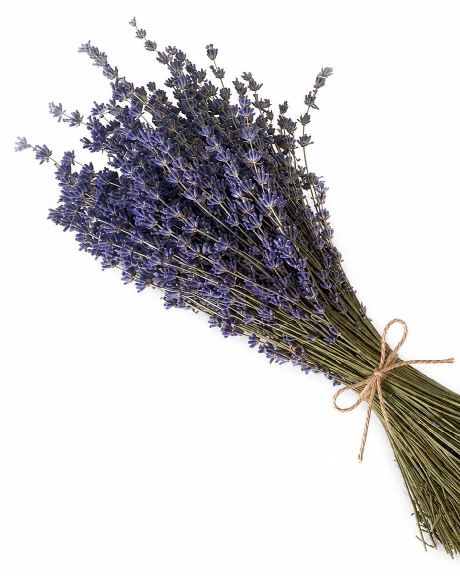 Dried Lavender