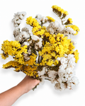 Hand holding a 100g bouquet of mixed bright yellow and crisp white dried Statice flowers.

