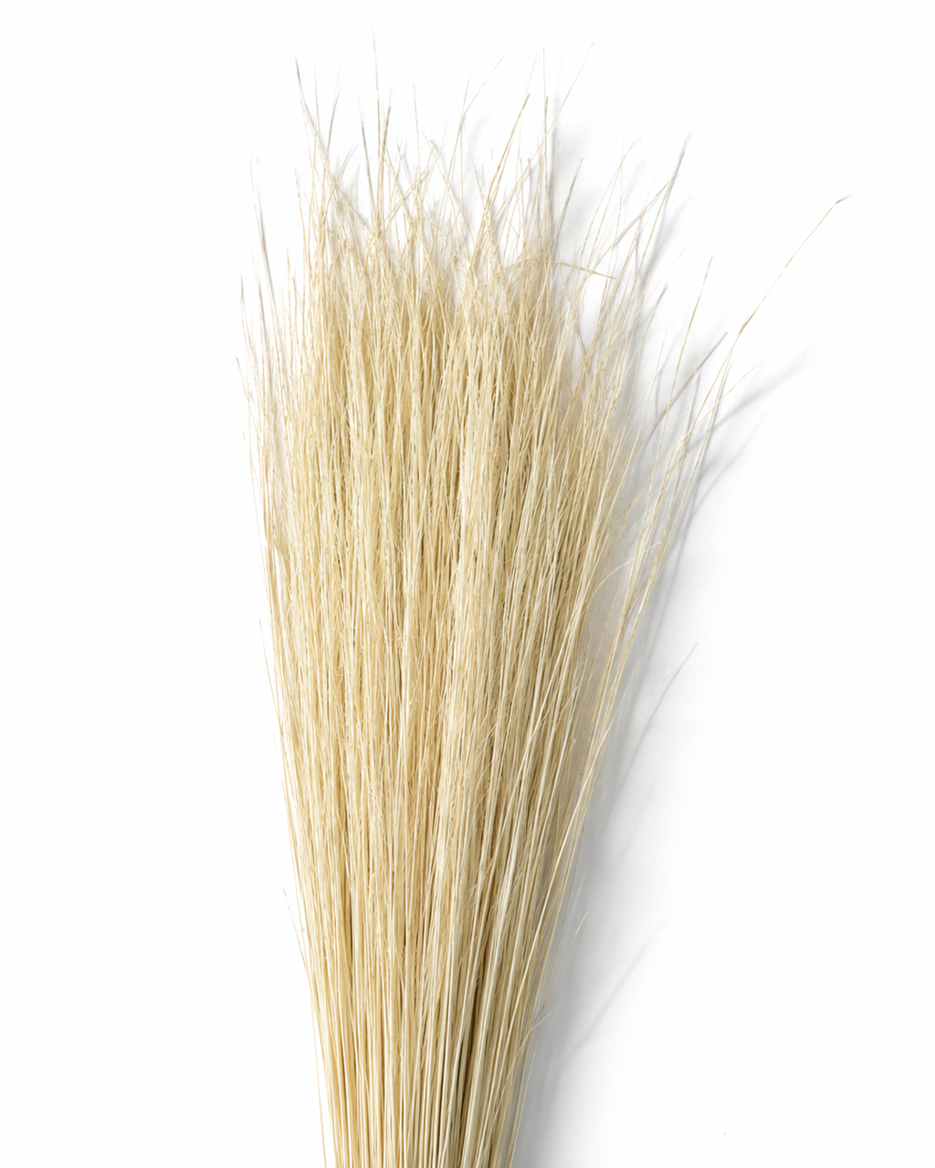 Natural Beige Pony Grass