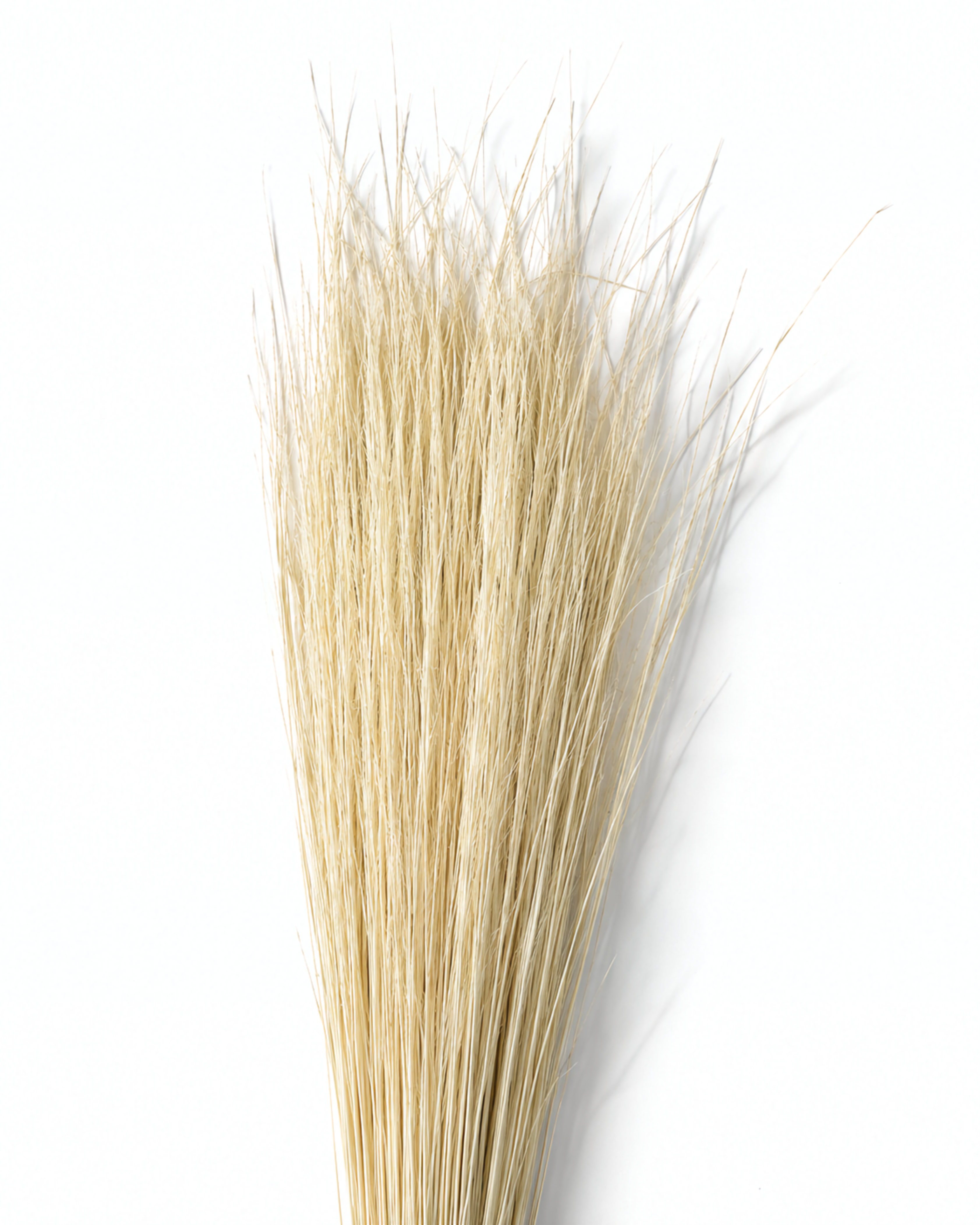 Natural Beige Pony Grass
