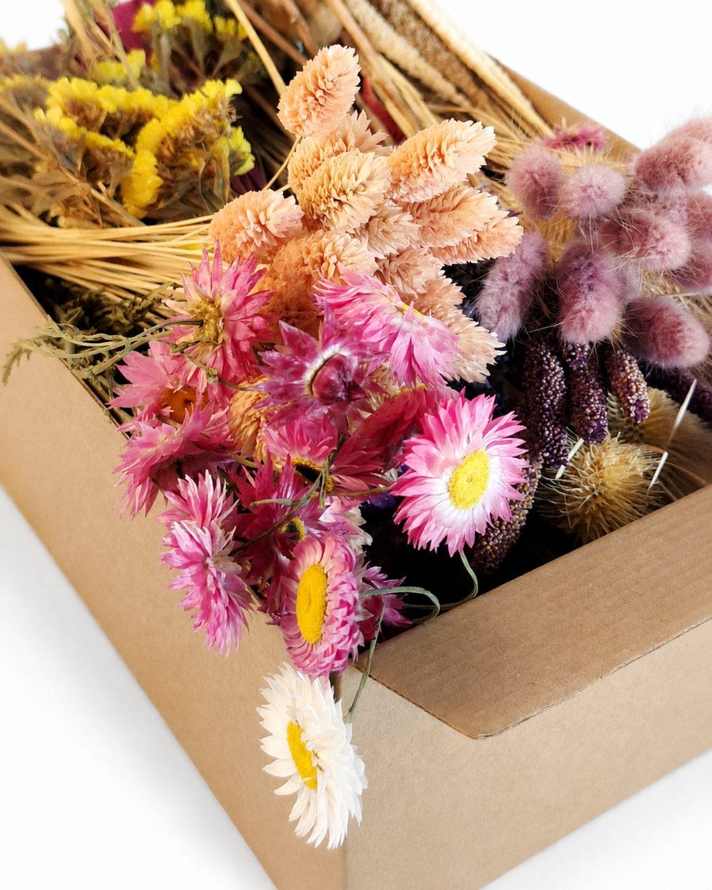 Wildflower Dried Flower Box for Crafts
