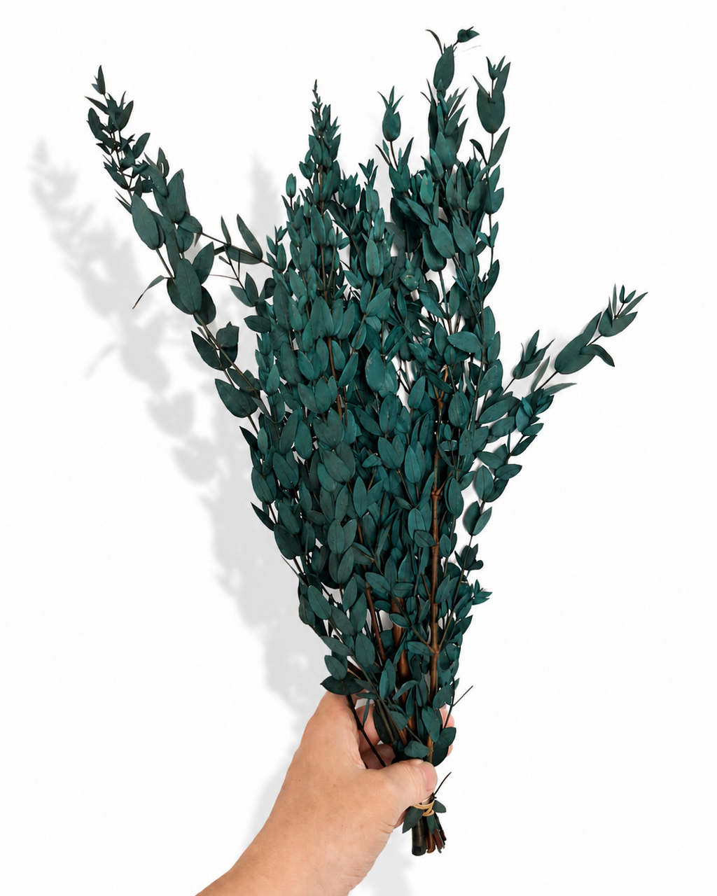 Preserved Greenery Bundle