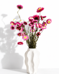 Pink Helichrysum Bouquet