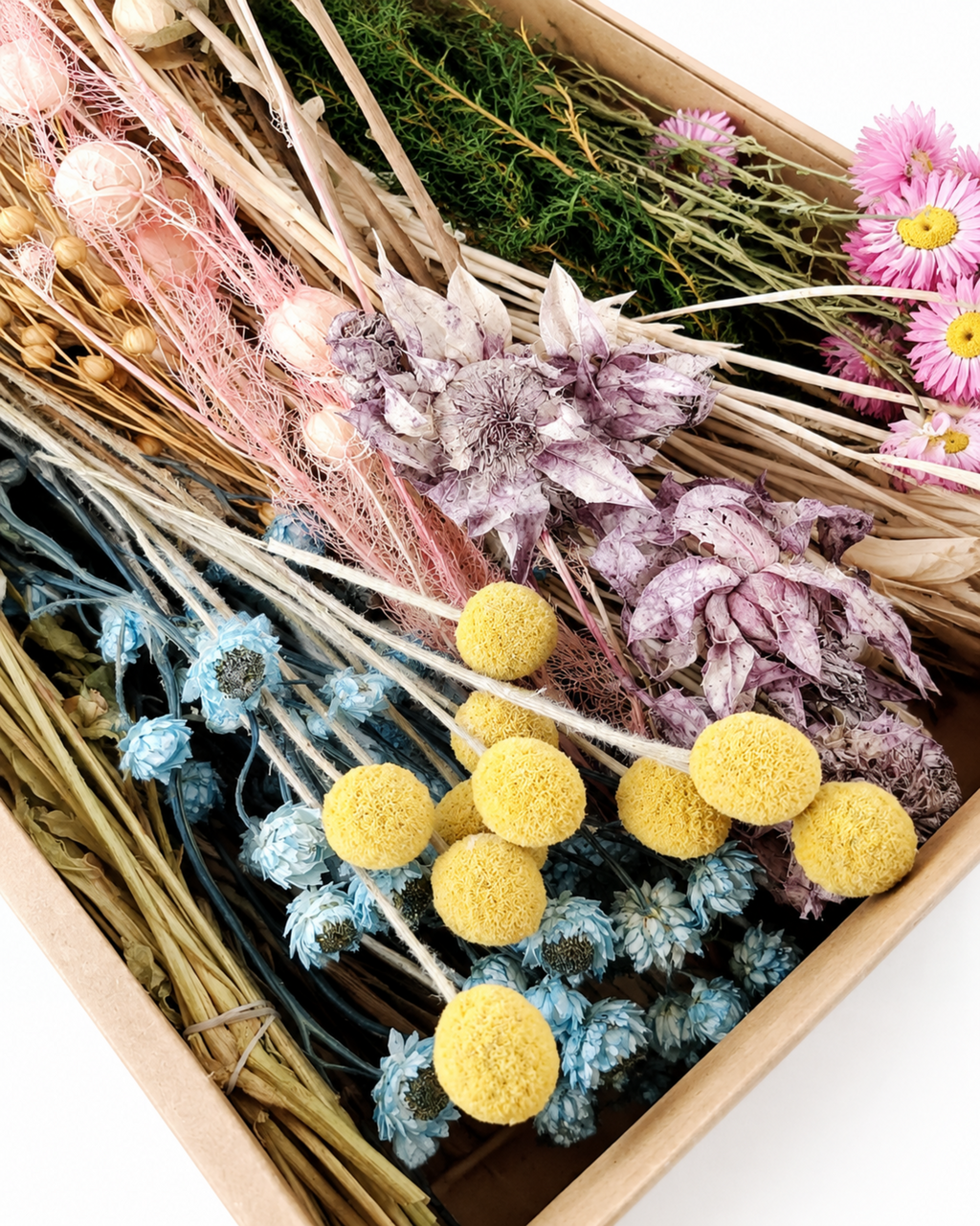 Pastel Dried Flower Box for Crafts