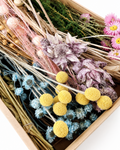 Dried Flower Box