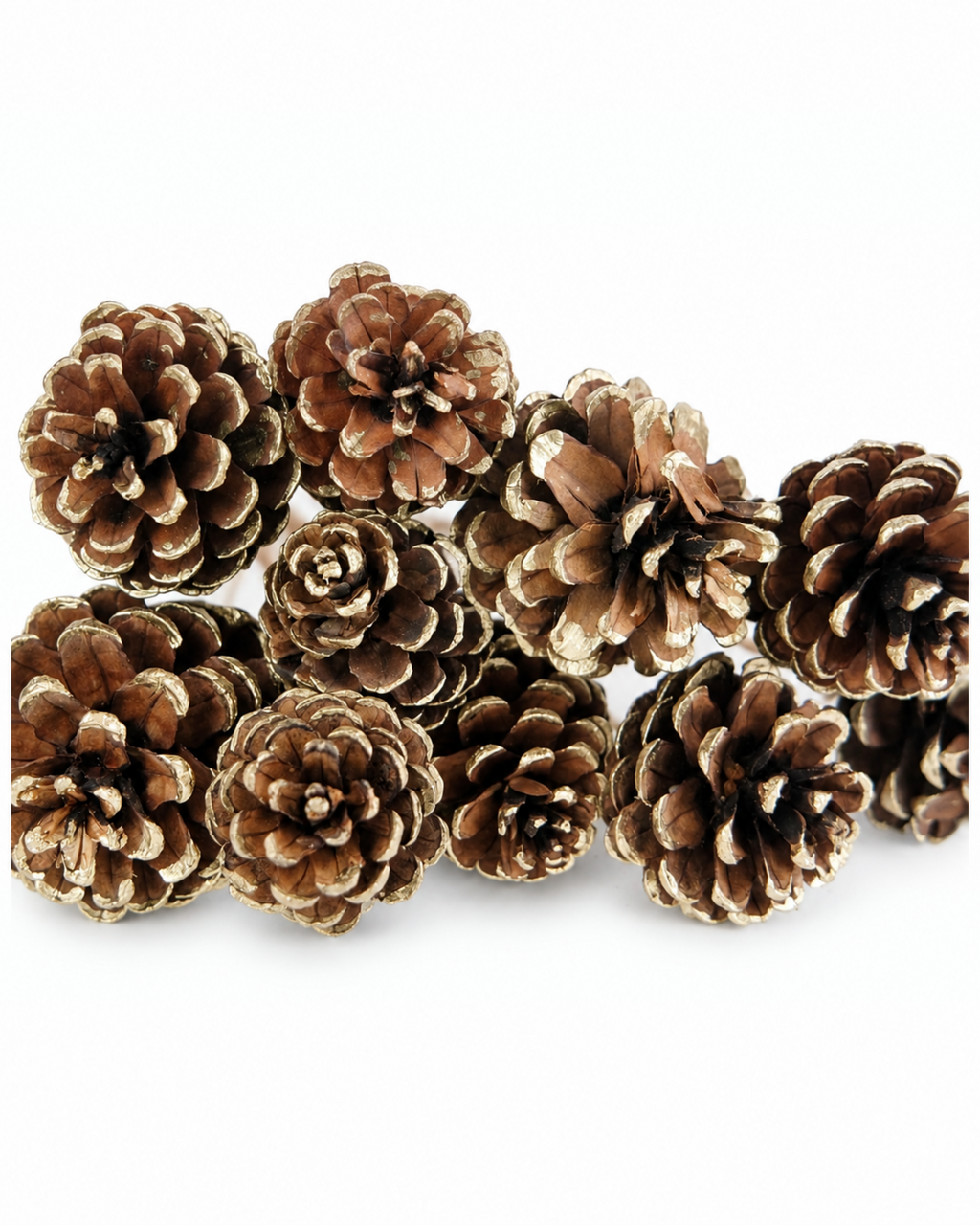 Close-up shot of natural pine cones featuring subtle gold paint accents.
