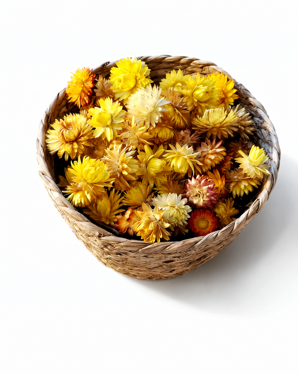 Yellow Dried Strawflower Heads Helichrysum