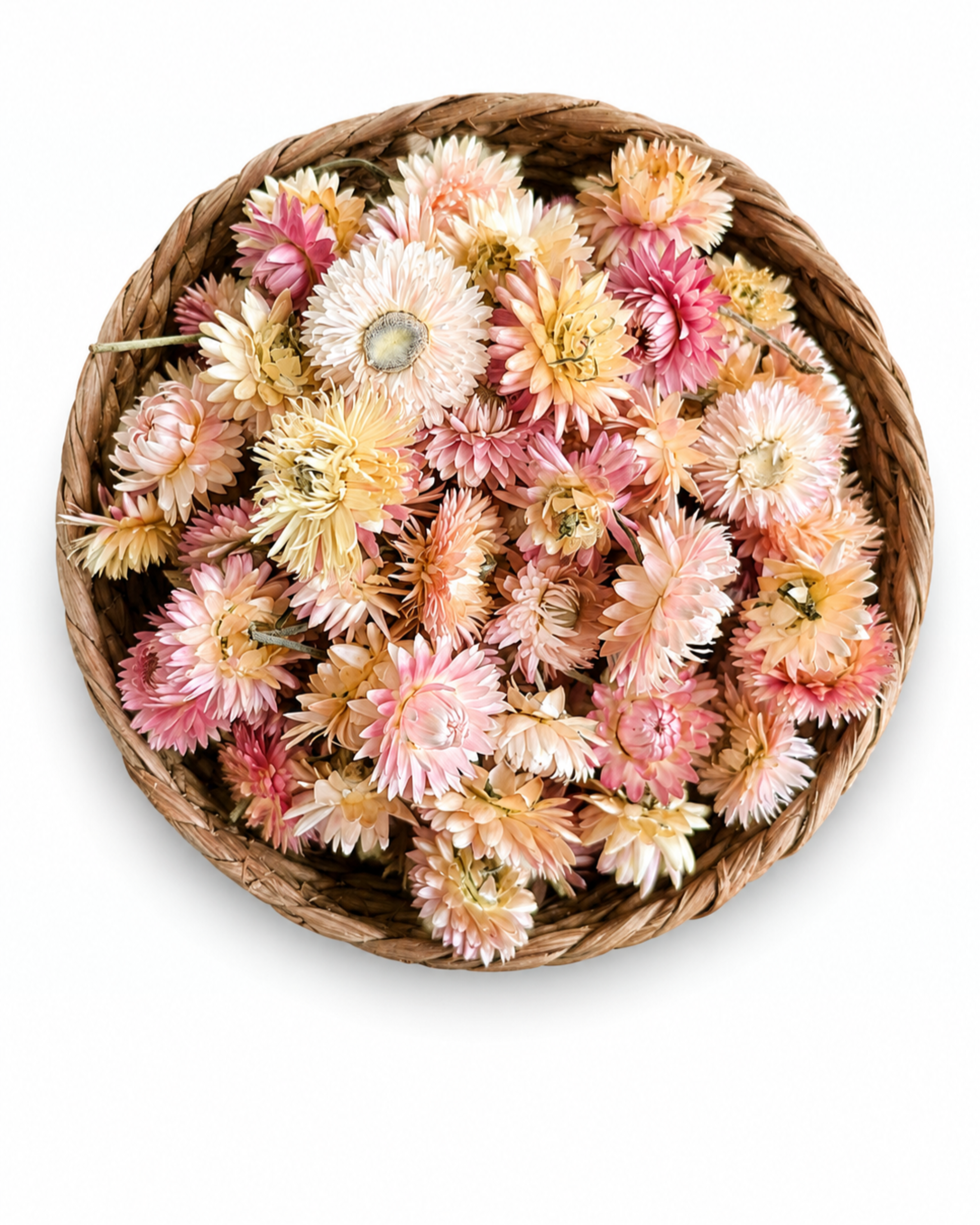 Dried Helichrysum Flower Heads - Pink & Peach Strawflower Set