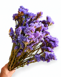 A full, uniform bunch of premium naturally dried Blue Lavender Statice stems (Limonium) for floristry and home decor.
