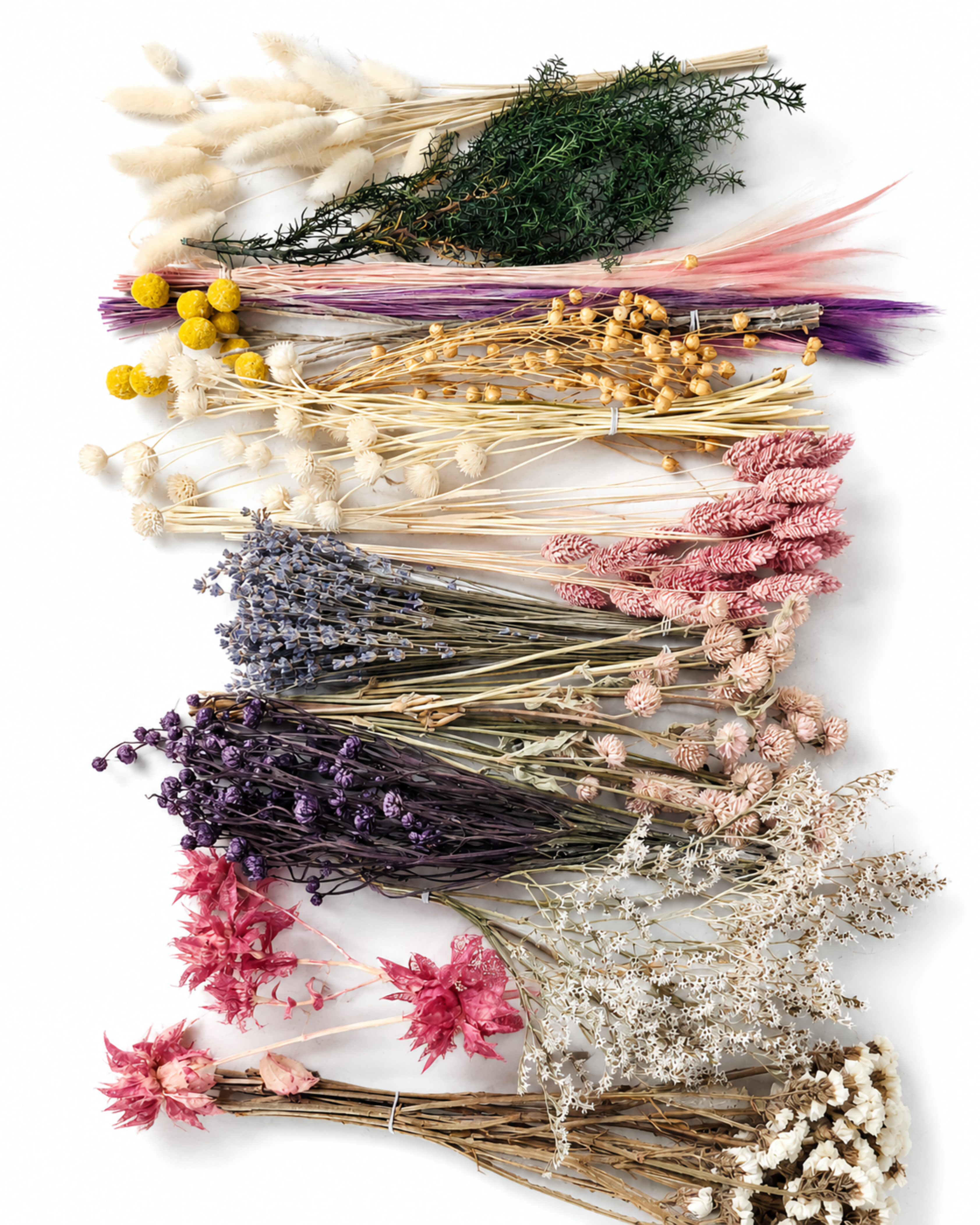 Pastel Dried Flower Box for Crafts