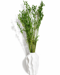 Preserved Briza Bouquet