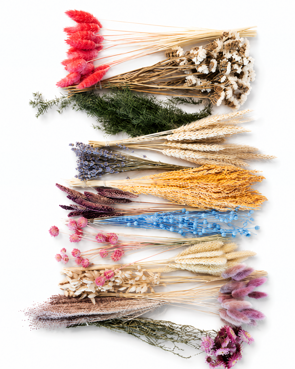 Rainbow Dried Flower Box