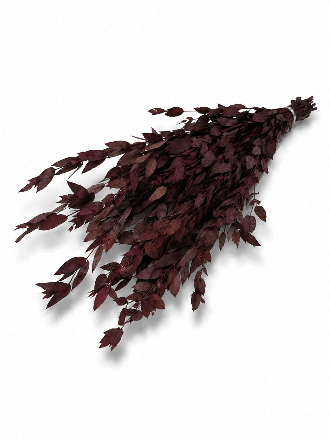 Burgundy Preserved Eucalyptus Bundle