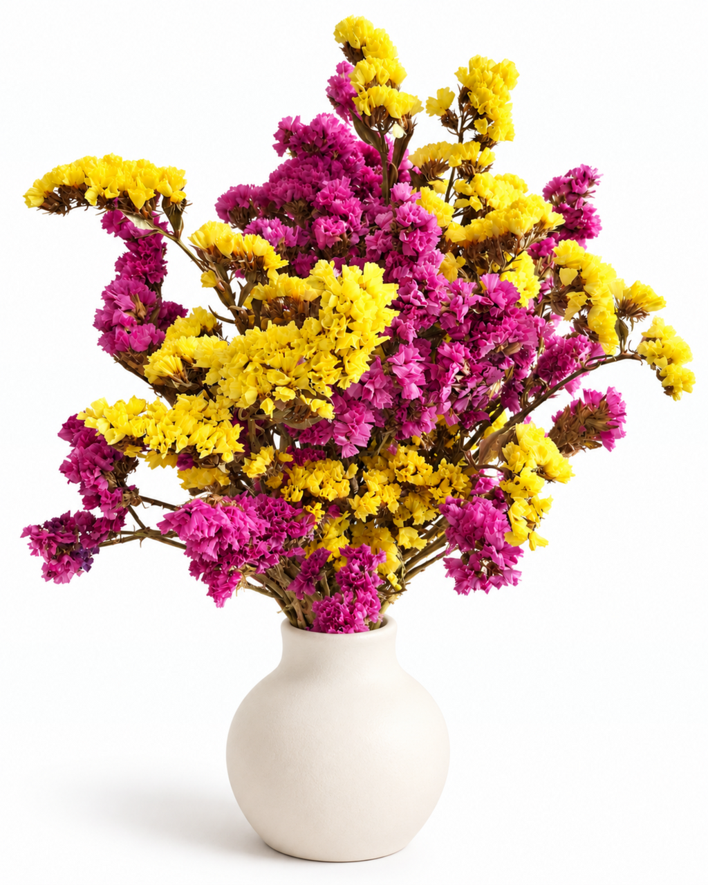 Dried Statice Bunch - Yellow Pink Limonium Botanicals - 45-50cm Premium Limonium Bunch (100g)