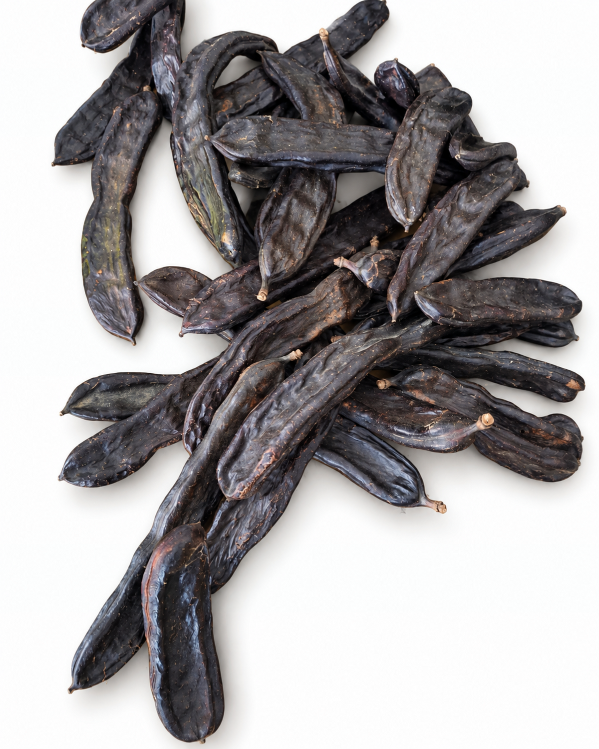 Whole Natural Carob Pods (Alfarroba) - Pack of 10 Raw Botanical Pods