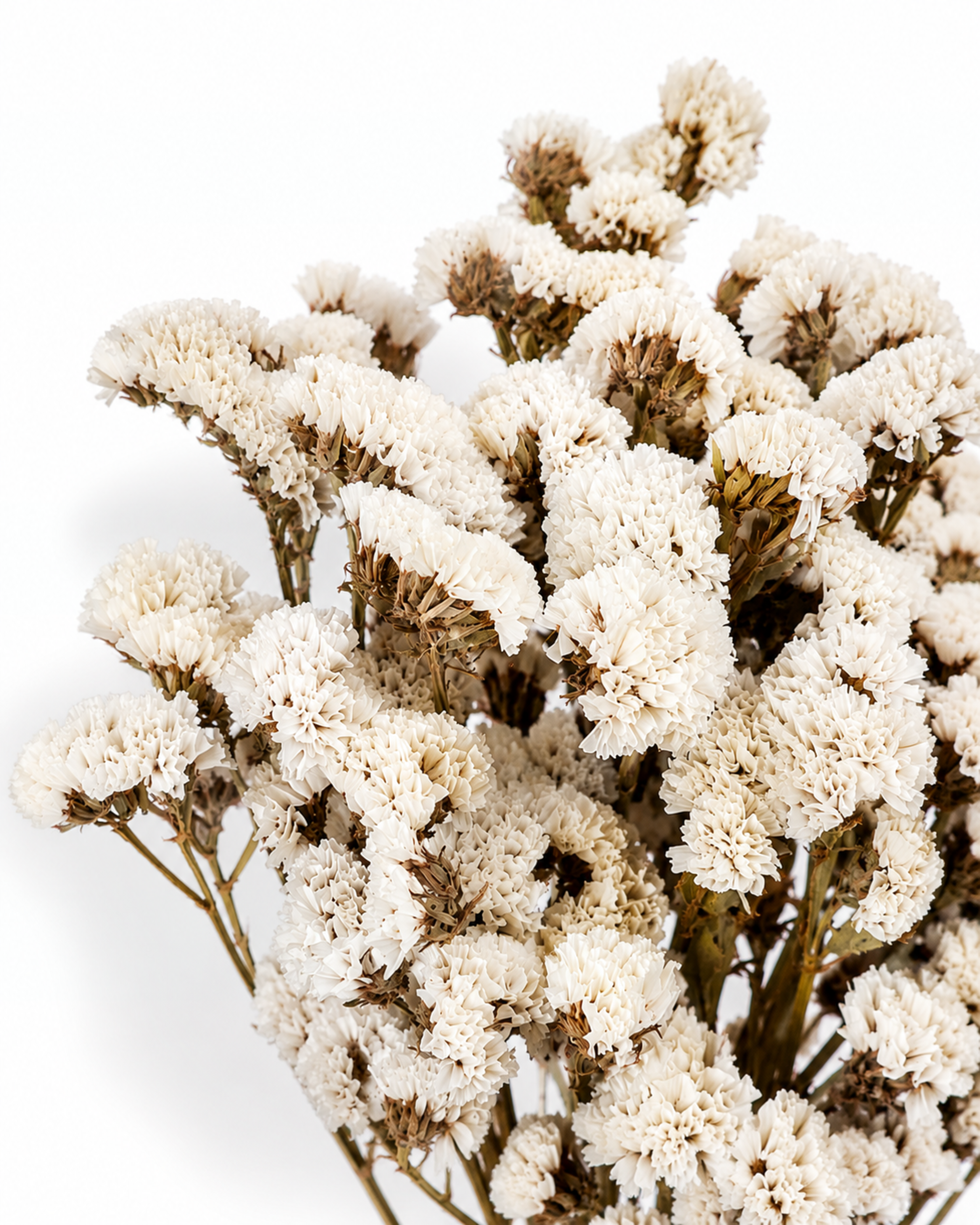 White Statice Bouquet
