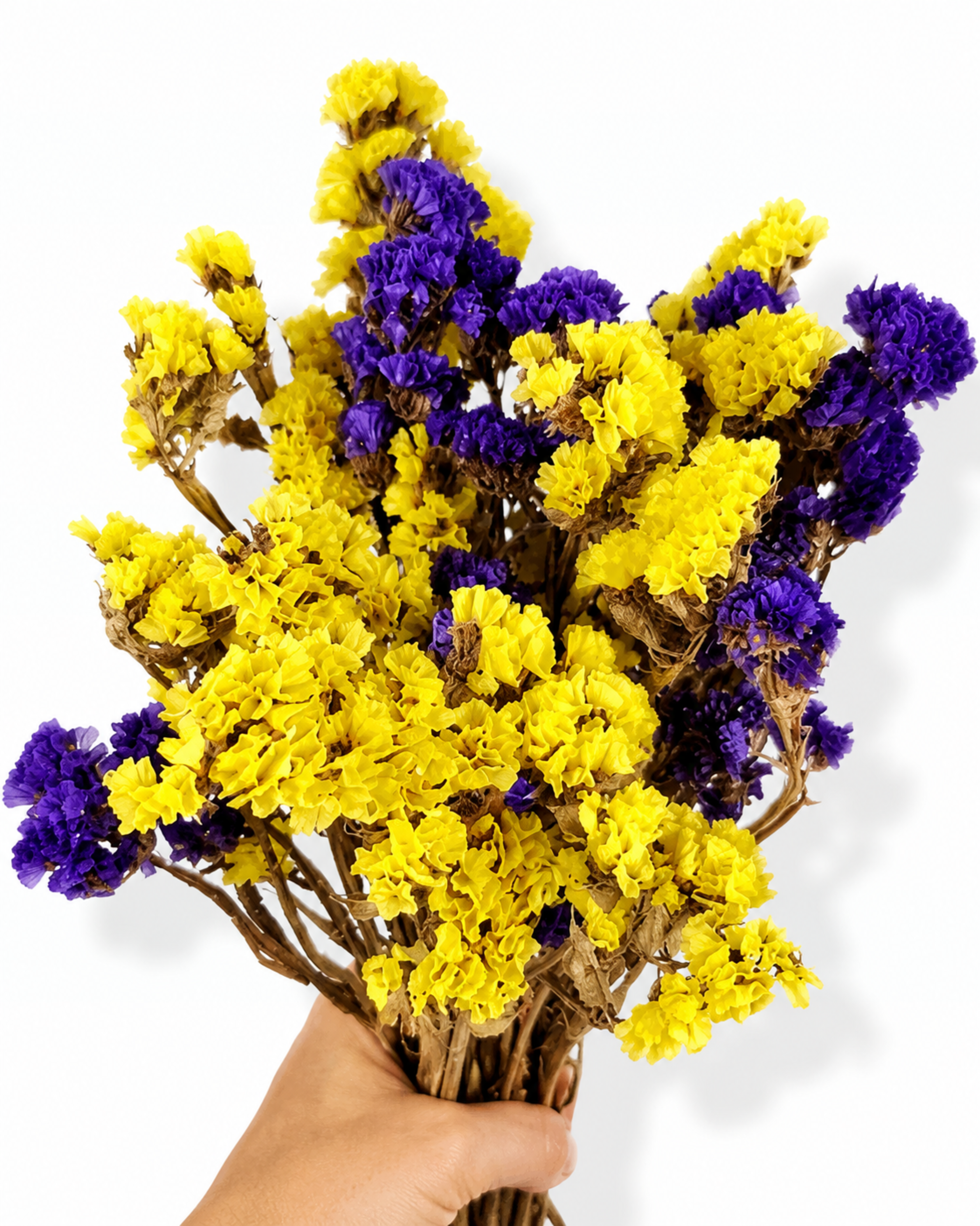 Hand holding a vibrant yellow and violet-purple Statice bunch against a bright background.

