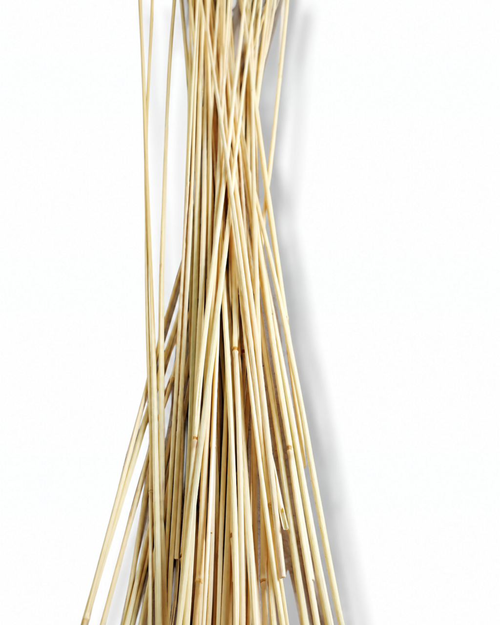 Dried Dusty Blue Calamagrostis Stems - Smoky Grey Blend